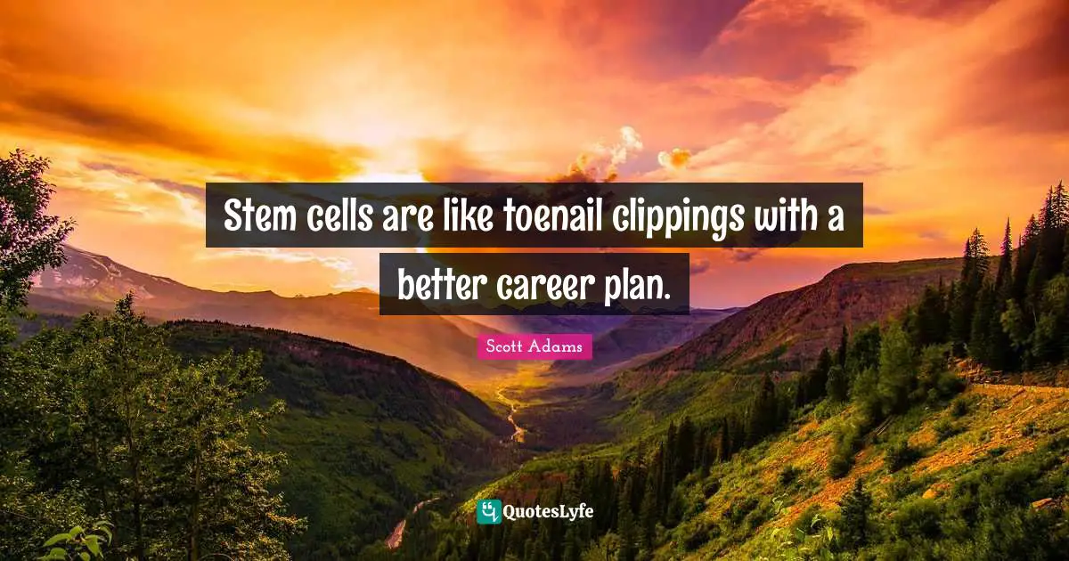 Stem cells are like toenail clippings with a better career plan.