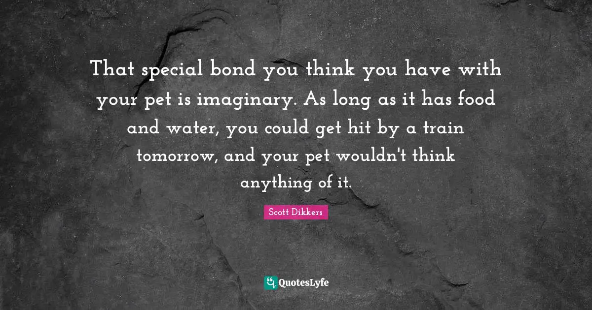 That special bond you think you have with your pet is imaginary. As long as it has food and water, you could get hit by a train tomorrow, and your pet wouldn't think anything of it.