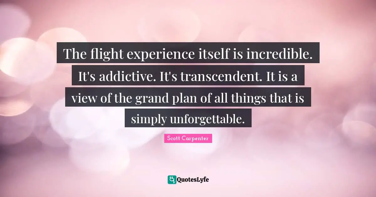 The flight experience itself is incredible. It's addictive. It's transcendent. It is a view of the grand plan of all things that is simply unforgettable.