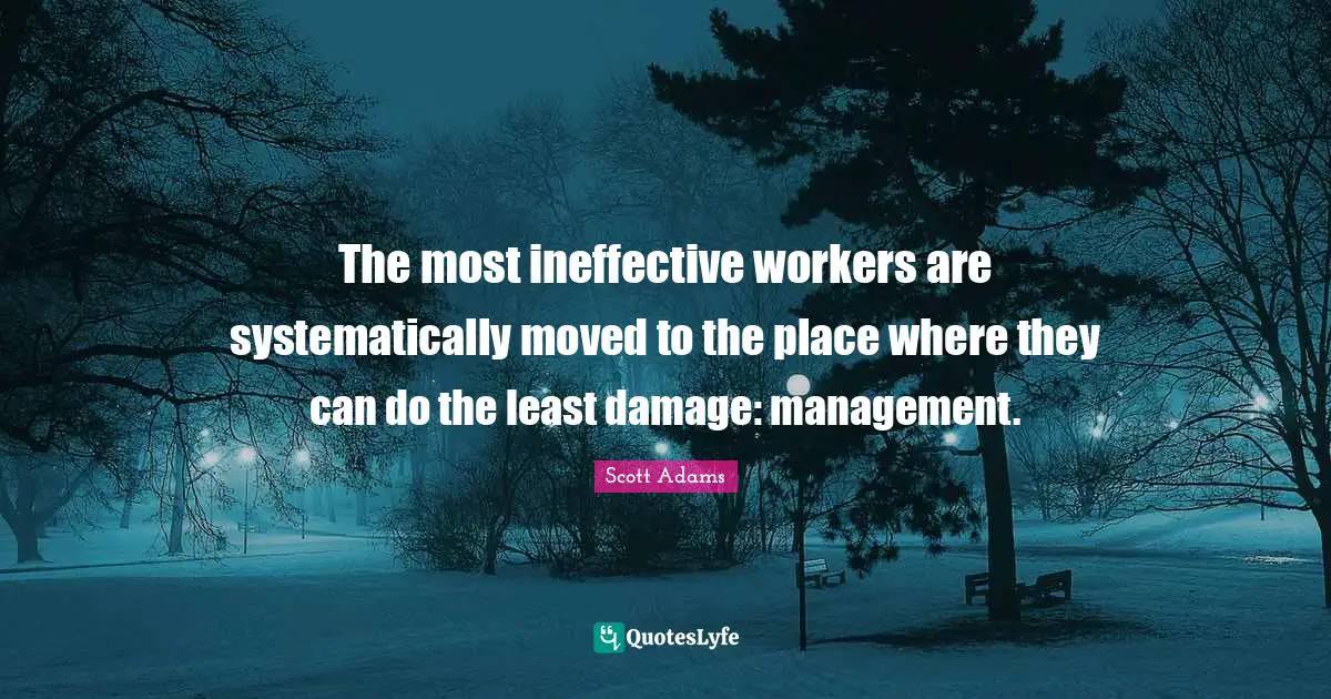 The most ineffective workers are systematically moved to the place where they can do the least damage: management.