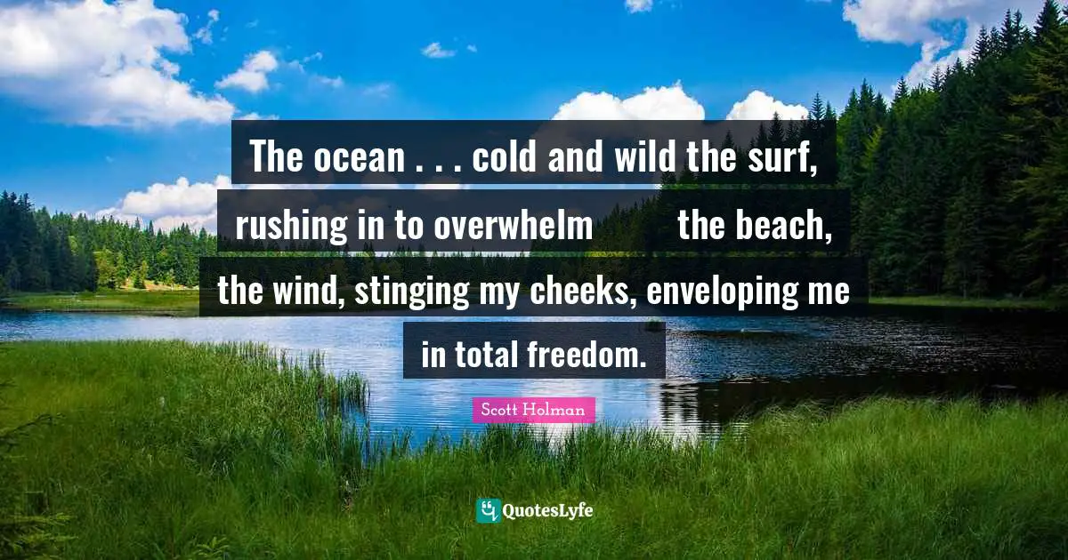 The ocean . . . cold and wild the surf, rushing in to overwhelm 	the beach, the wind, stinging my cheeks, enveloping me 	in total freedom.