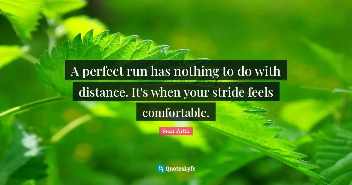 A perfect run has nothing to do with distance. It's when your stride feels comfortable.