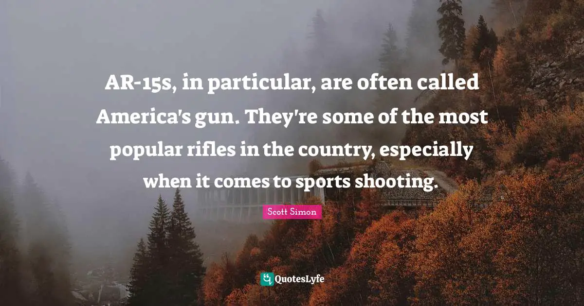 AR-15s, in particular, are often called America's gun. They're some of the most popular rifles in the country, especially when it comes to sports shooting.