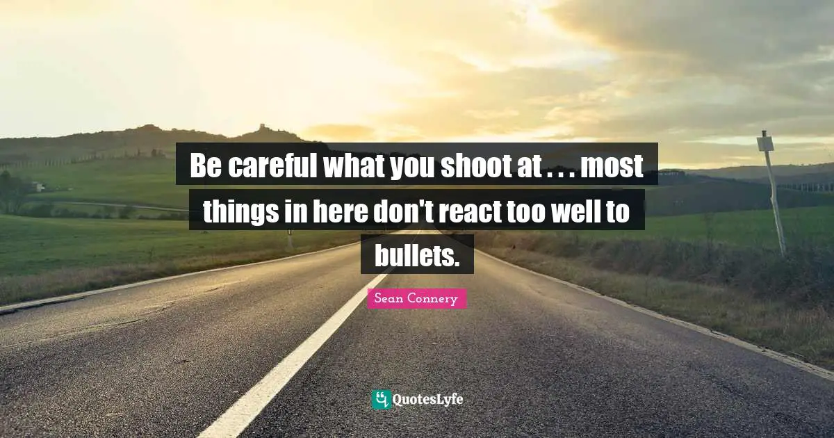 Be careful what you shoot at . . . most things in here don't react too well to bullets.