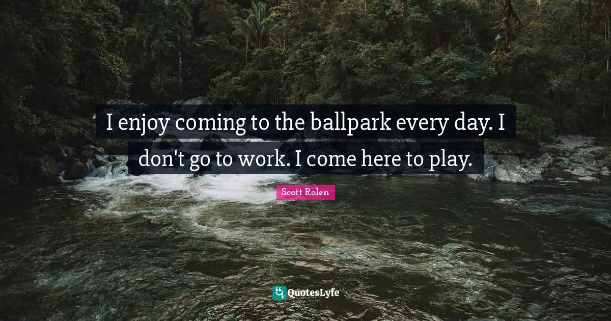 I enjoy coming to the ballpark every day. I don't go to work. I come here to play.