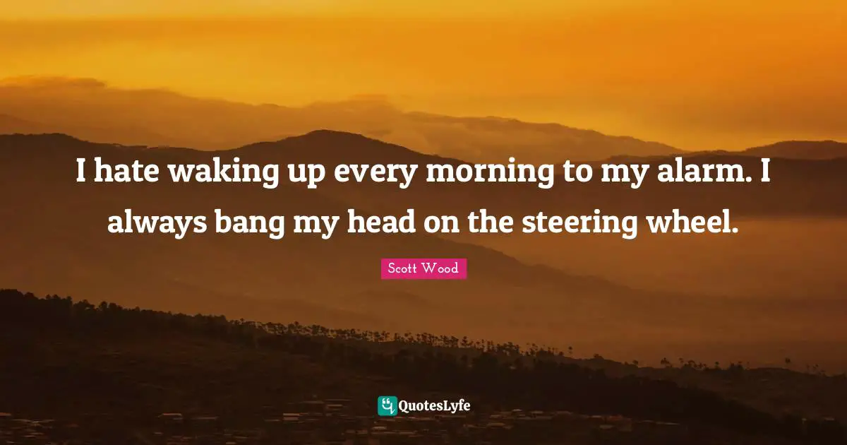 I hate waking up every morning to my alarm. I always bang my head on the steering wheel.