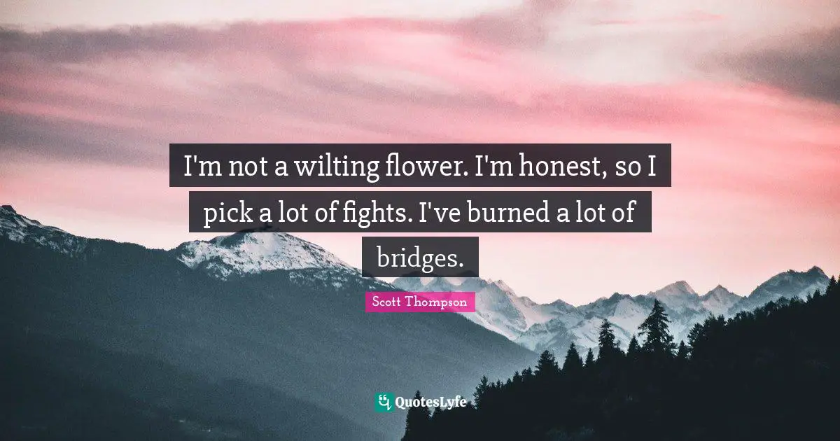 I'm not a wilting flower. I'm honest, so I pick a lot of fights. I've burned a lot of bridges.