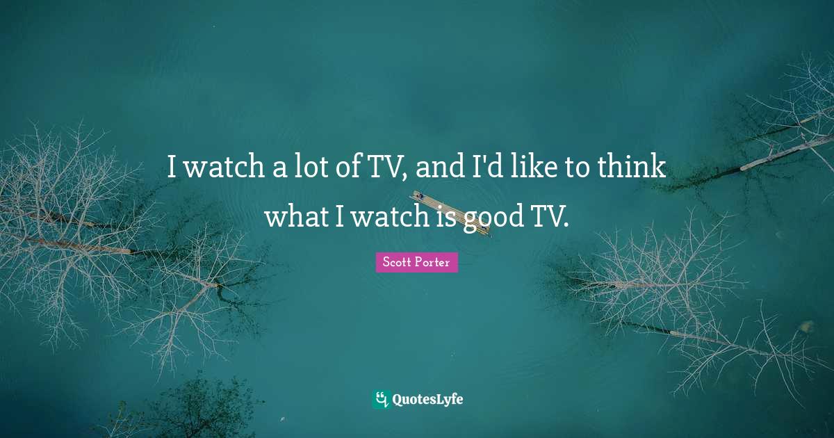 I watch a lot of TV, and I'd like to think what I watch is good TV