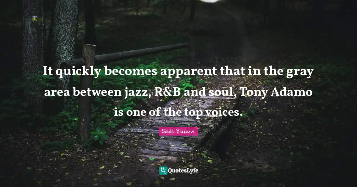 It quickly becomes apparent that in the gray area between jazz, R&B and soul, Tony Adamo is one of the top voices.
