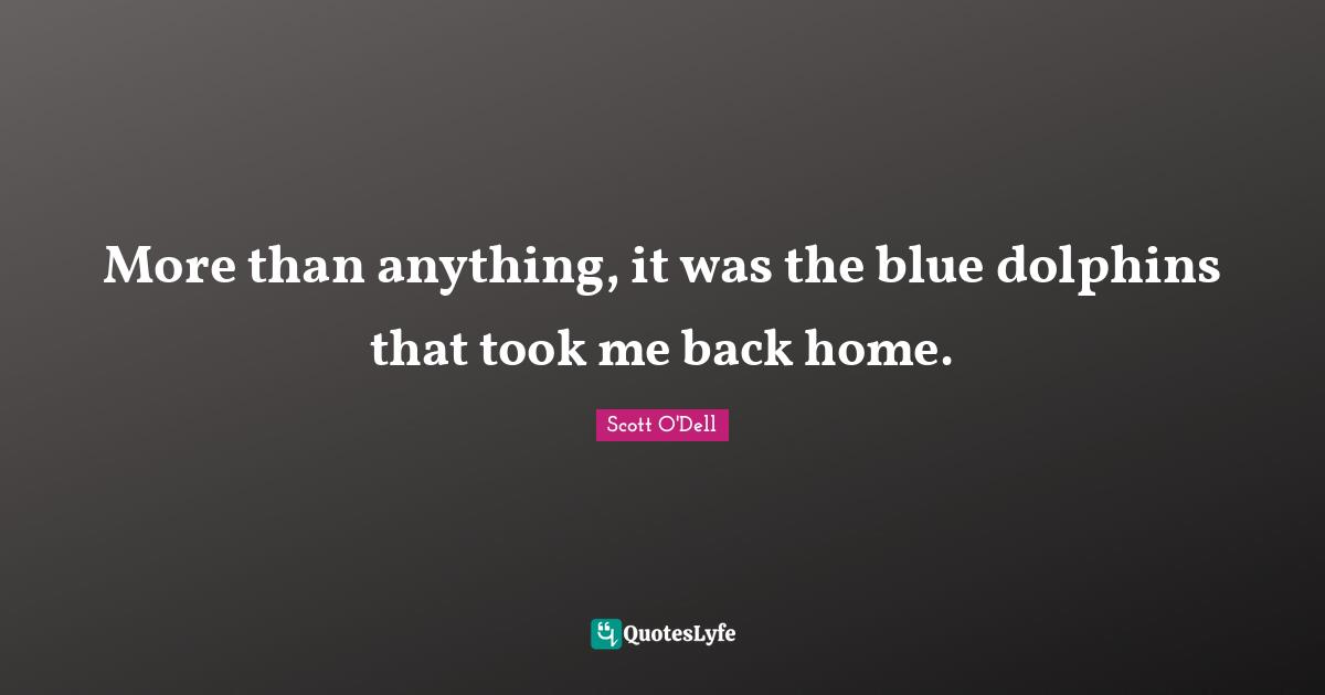 More than anything, it was the blue dolphins that took me back home.