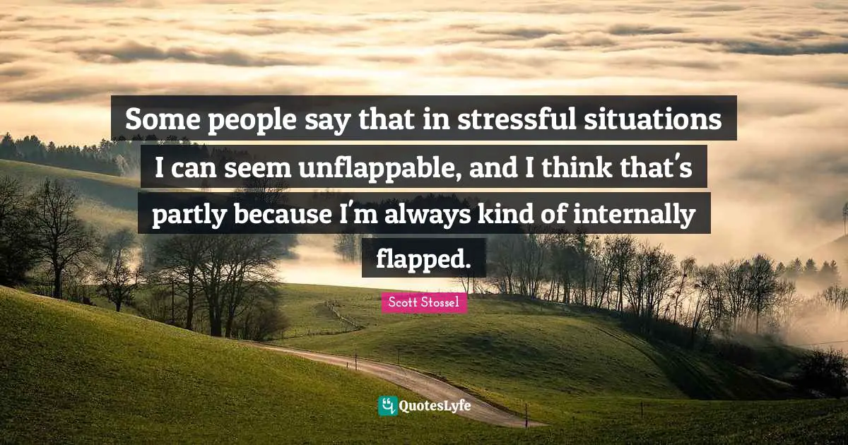 Some people say that in stressful situations I can seem unflappable, and I think that's partly because I'm always kind of internally flapped.