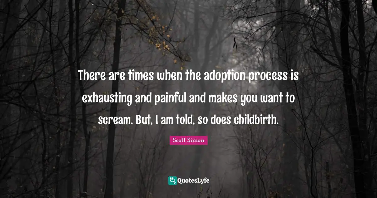 There are times when the adoption process is exhausting and painful and makes you want to scream. But, I am told, so does childbirth.