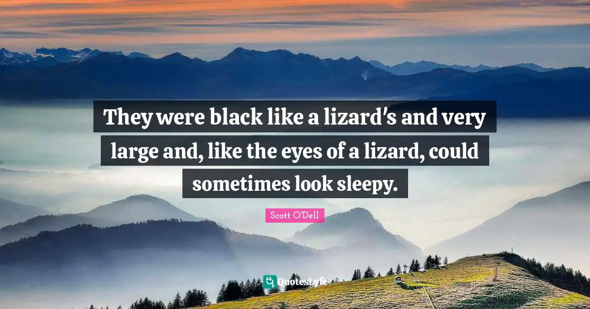 They were black like a lizard's and very large and, like the eyes of a lizard, could sometimes look sleepy.