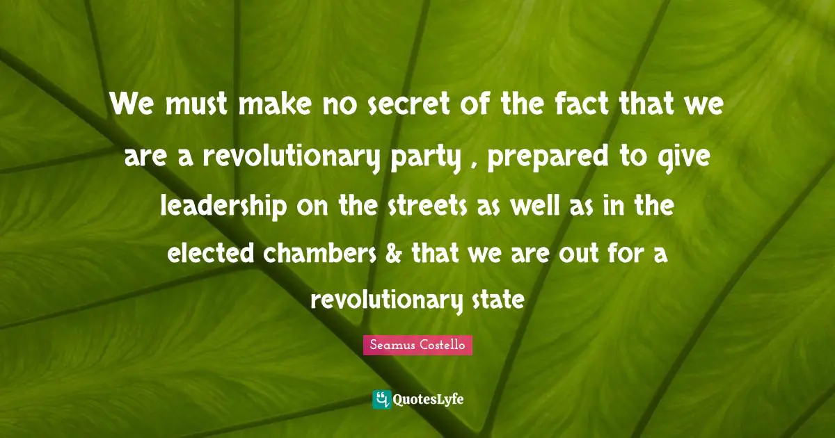 We must make no secret of the fact that we are a revolutionary party , prepared to give leadership on the streets as well as in the elected chambers & that we are out for a revolutionary state