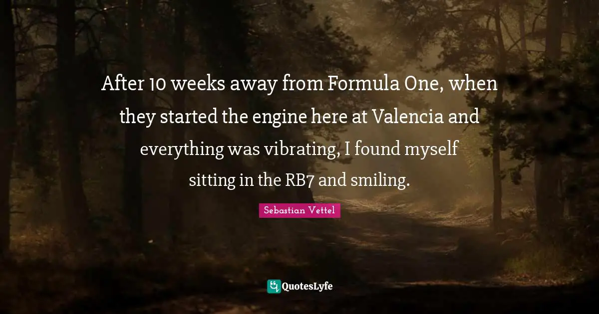 Sebastian Vettel Quotes: "After 10 weeks away from Formula One, when they started the engine here at Valencia and everything was vibrating, I found myself sitting in the RB7 and smiling."