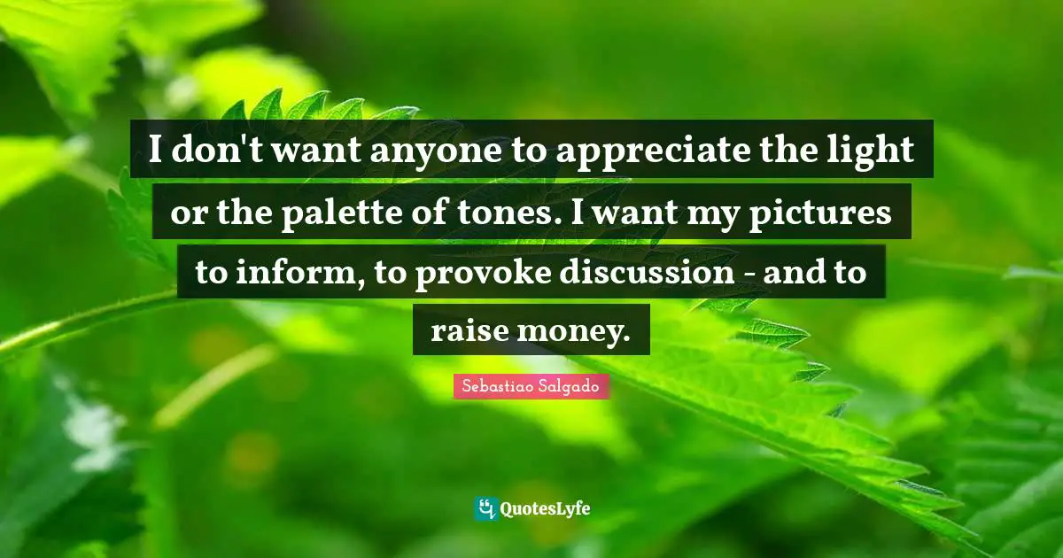 Sebastiao Salgado Quotes: "I don't want anyone to appreciate the light or the palette of tones. I want my pictures to inform, to provoke discussion - and to raise money."