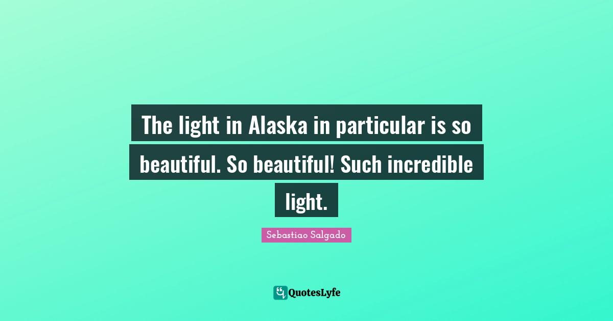 Sebastiao Salgado Quotes: "The light in Alaska in particular is so beautiful. So beautiful! Such incredible light."