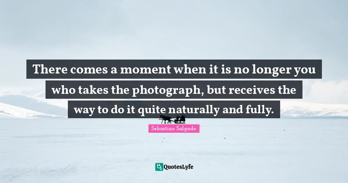 Sebastiao Salgado Quotes: "There comes a moment when it is no longer you who takes the photograph, but receives the way to do it quite naturally and fully."