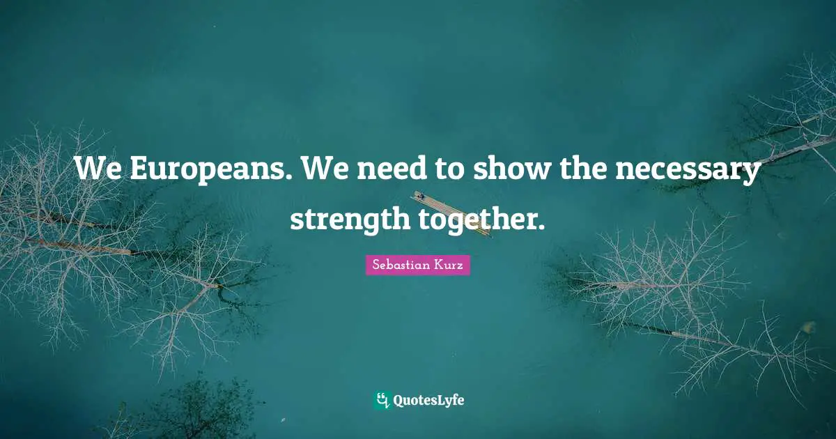 We Europeans. We need to show the necessary strength together.