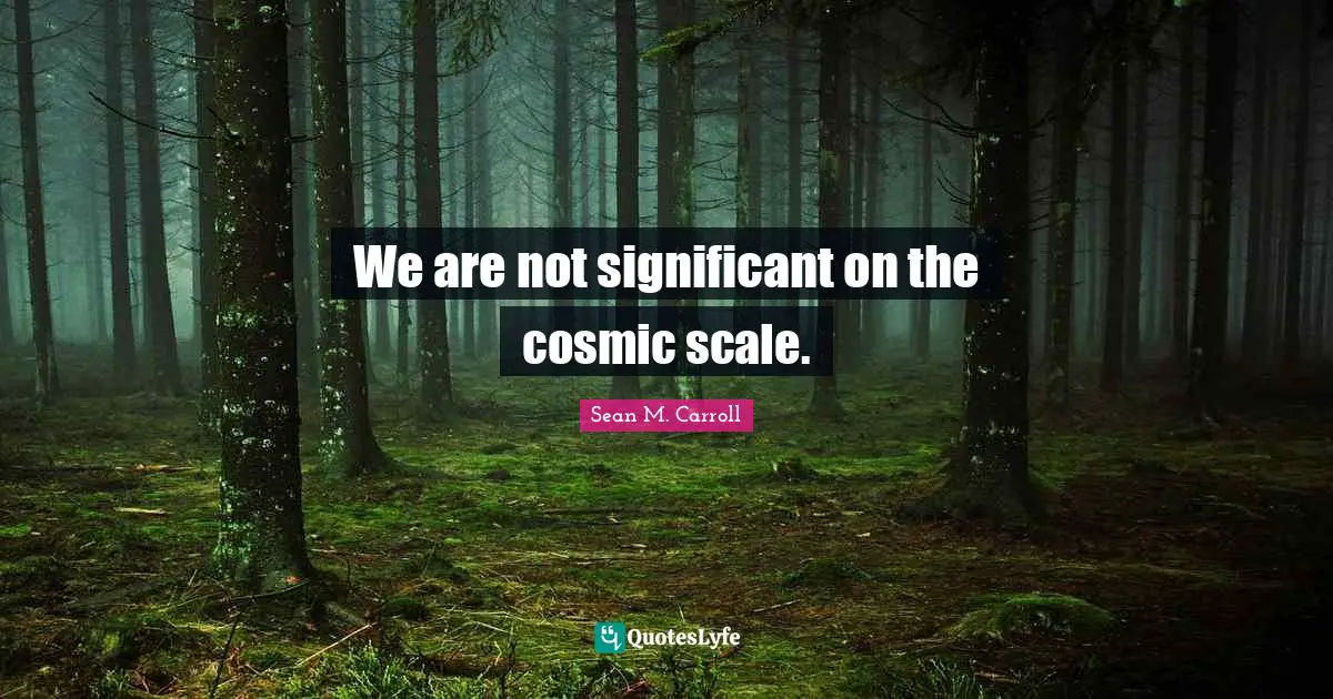 We are not significant on the cosmic scale.