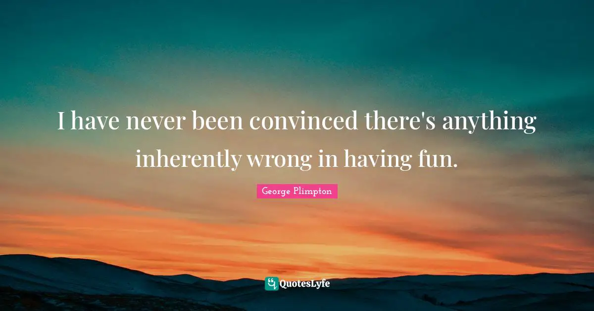 I have never been convinced there's anything inherently wrong in having fun.