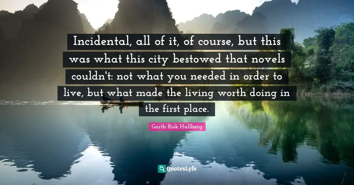 Incidental, all of it, of course, but this was what this city bestowed that novels couldn't: not what you needed in order to live, but what made the living worth doing in the first place.