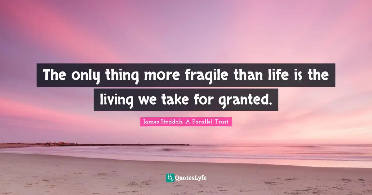 The only thing more fragile than life is the living we take for granted.