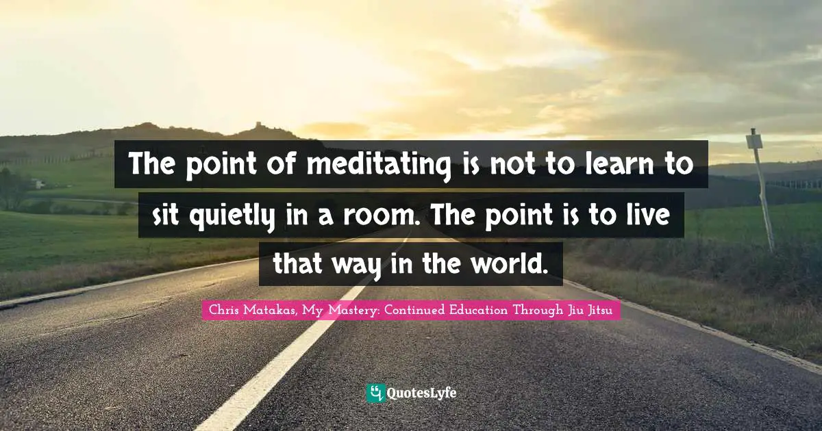 The point of meditating is not to learn to sit quietly in a room. The point is to live that way in the world.