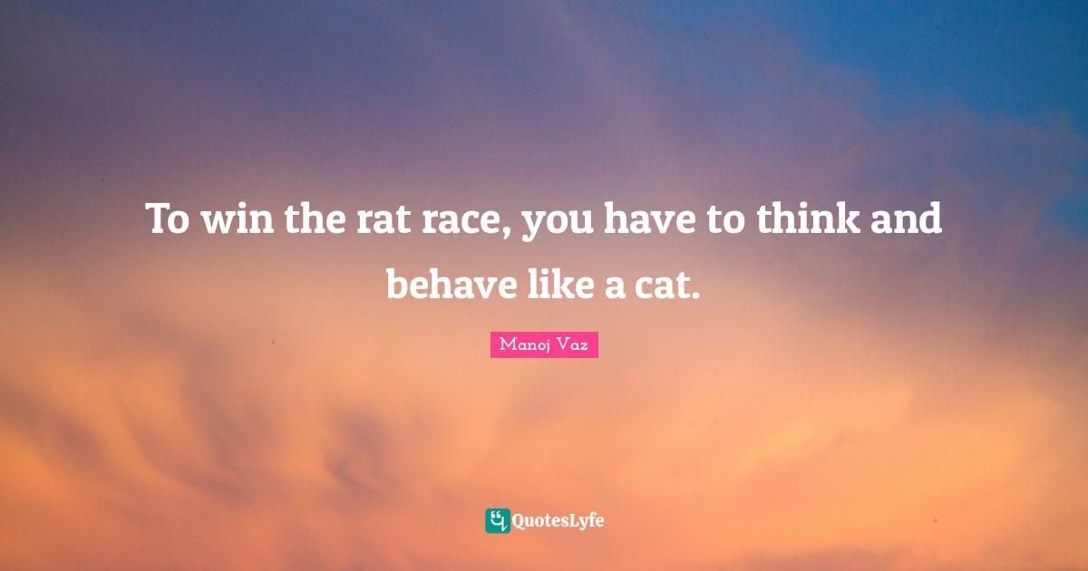To win the rat race, you have to think and behave like a cat.