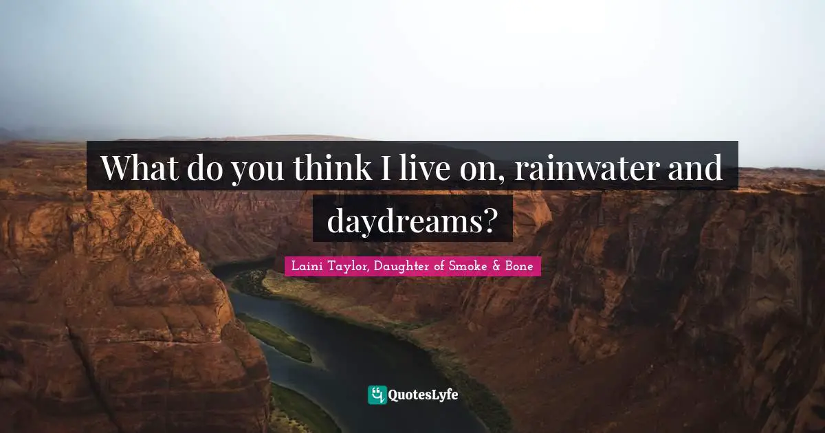 What do you think I live on, rainwater and daydreams?