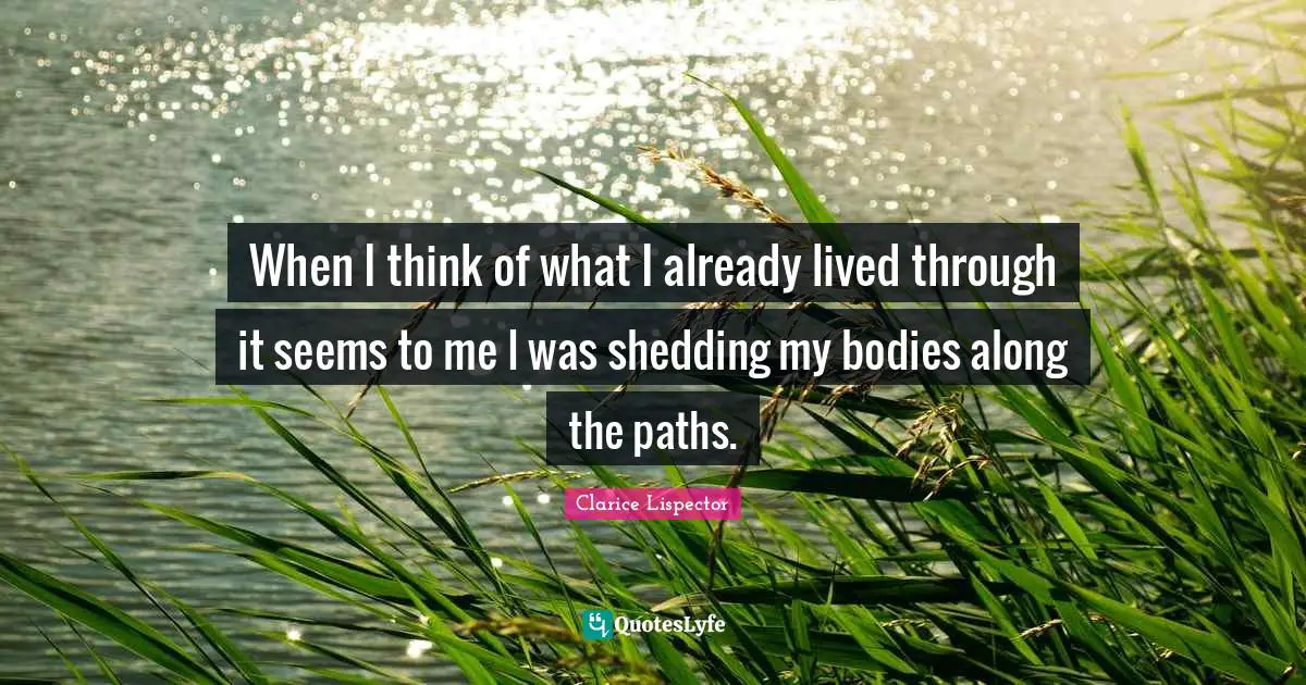 When I think of what I already lived through it seems to me I was shedding my bodies along the paths.