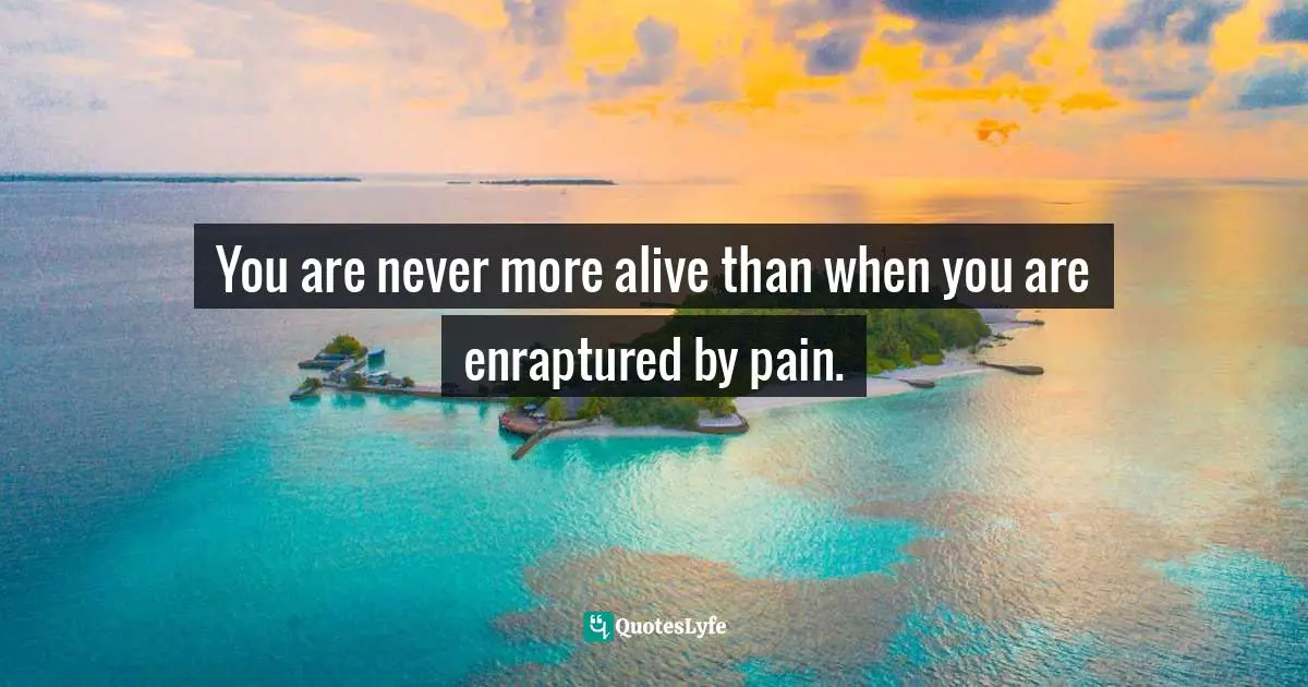 Bryant McGill, Simple Reminders: Inspiration for Living Your Best Life Quotes: You are never more alive than when you are enraptured by pain.