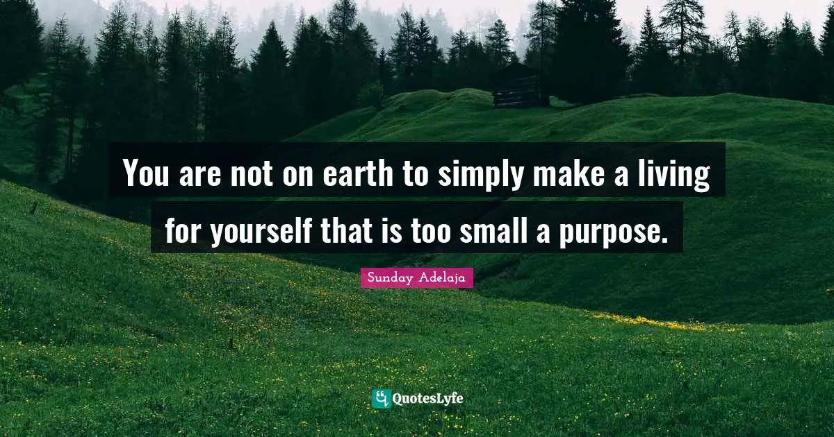 You are not on earth to simply make a living for yourself that is too small a purpose.