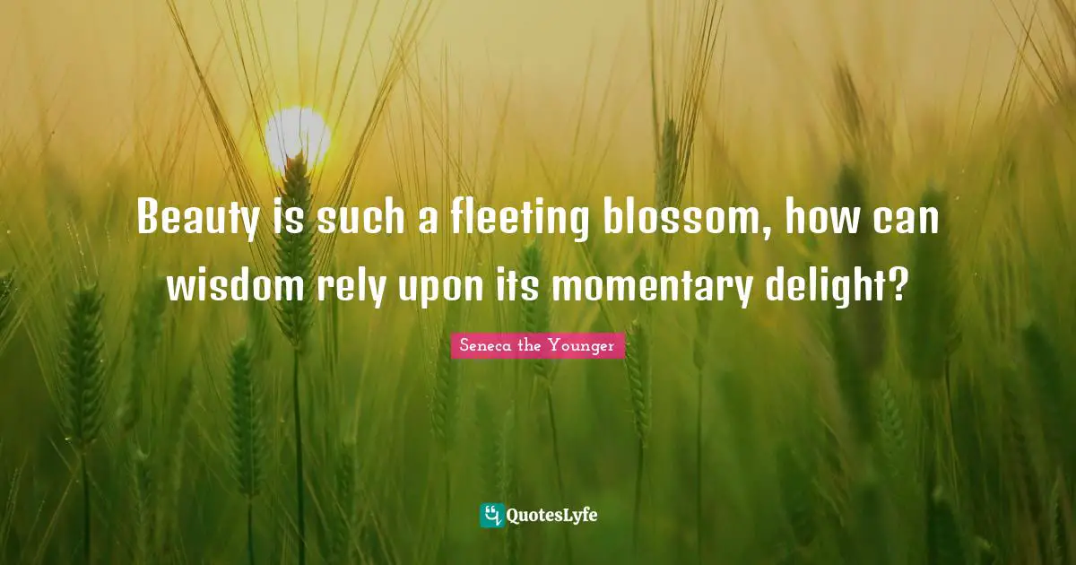 Beauty is such a fleeting blossom, how can wisdom rely upon its momentary delight?