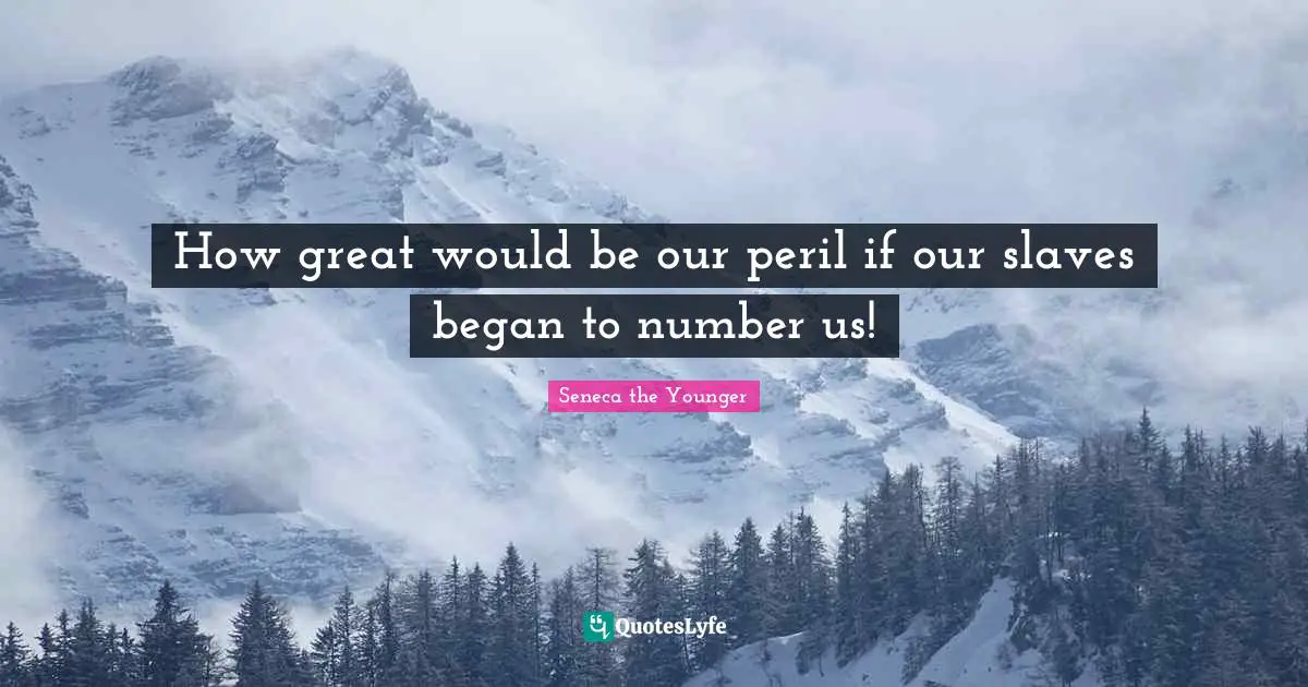 How great would be our peril if our slaves began to number us!