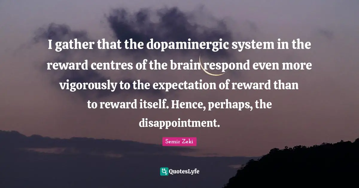 I gather that the dopaminergic system in the reward centres of the brain respond even more vigorously to the expectation of reward than to reward itself. Hence, perhaps, the disappointment.