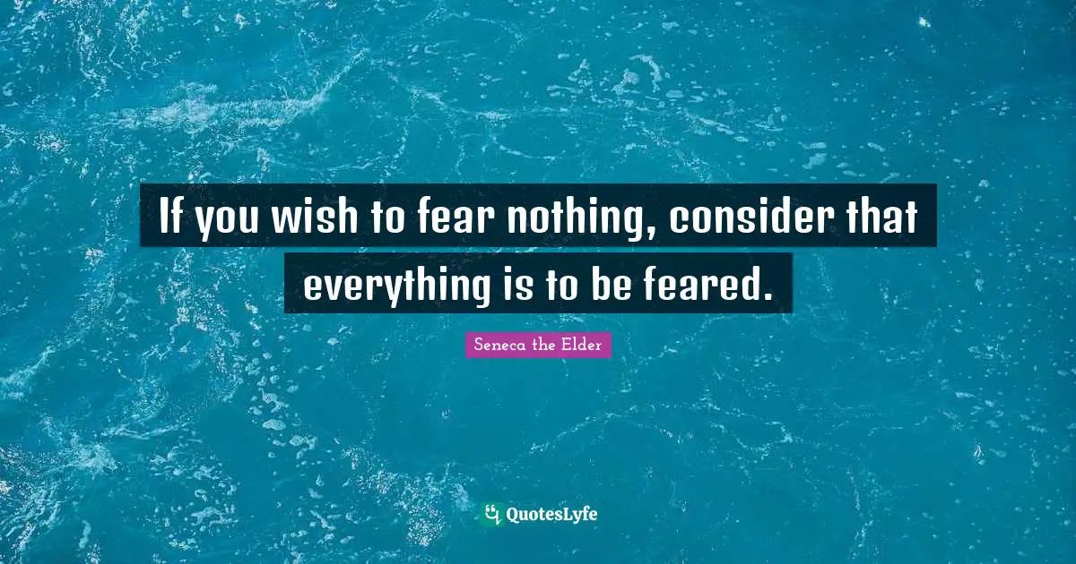 If you wish to fear nothing, consider that everything is to be feared.