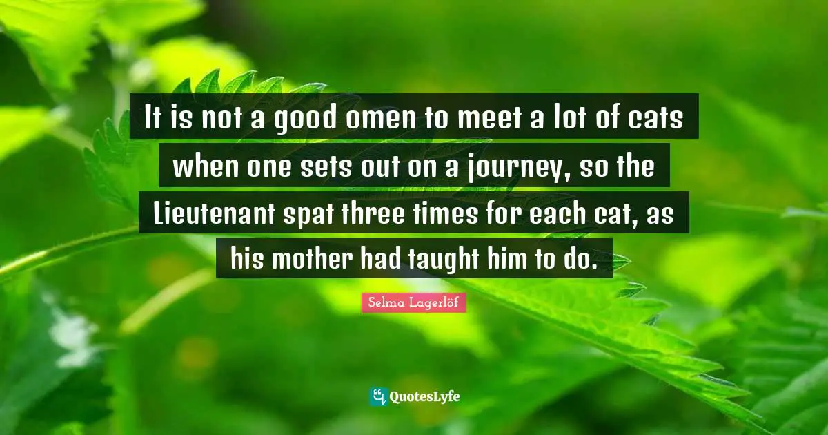 It is not a good omen to meet a lot of cats when one sets out on a journey, so the Lieutenant spat three times for each cat, as his mother had taught him to do.