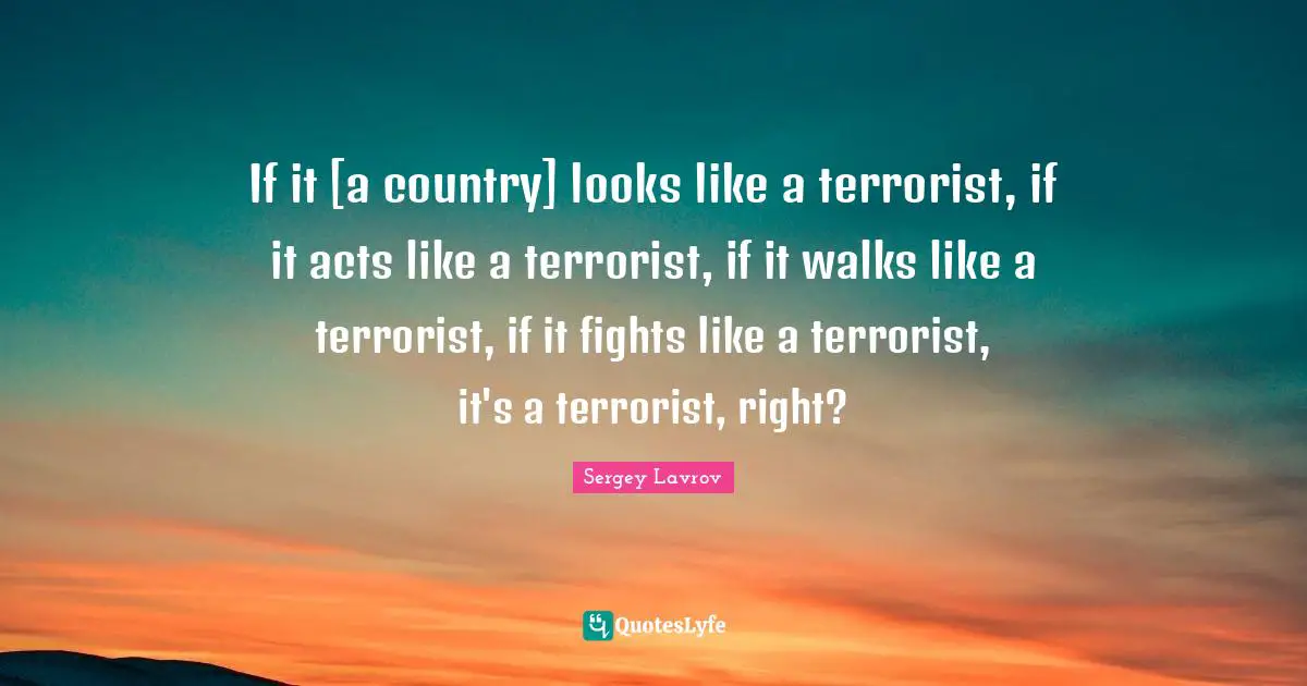 If it [a country] looks like a terrorist, if it acts like a terrorist, if it walks like a terrorist, if it fights like a terrorist, it's a terrorist, right?