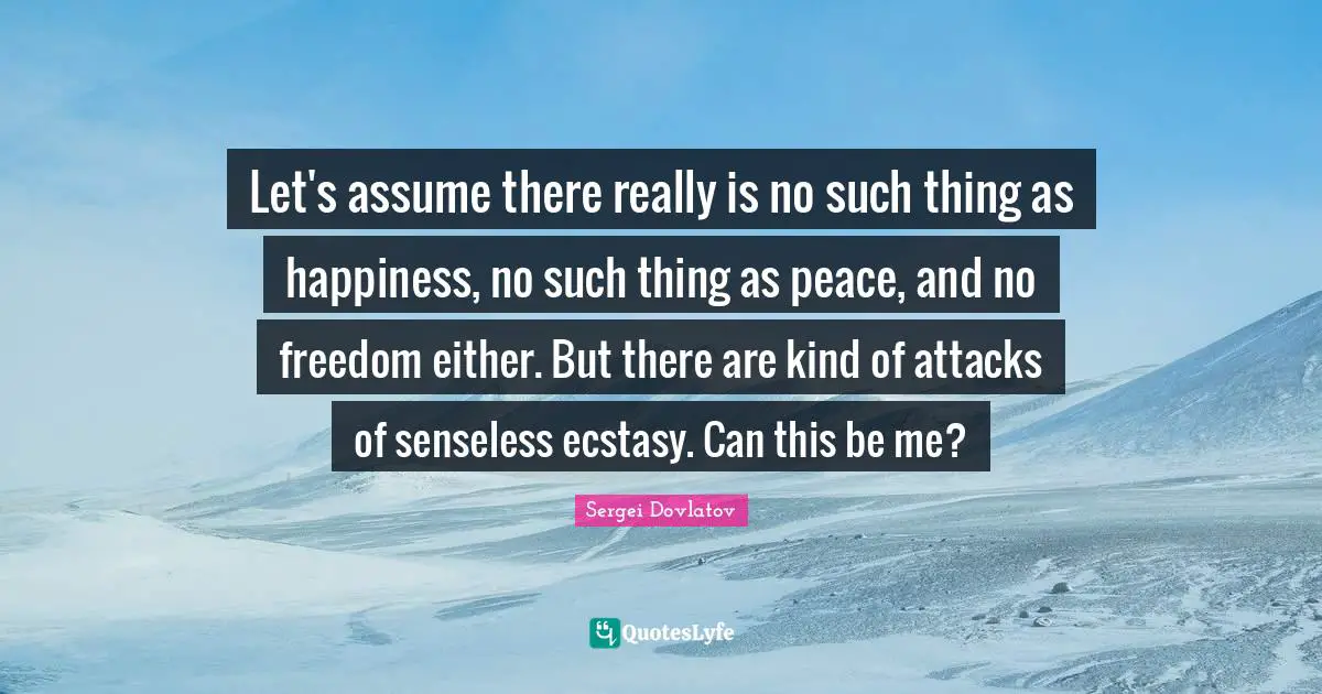 Let's assume there really is no such thing as happiness, no such thing as peace, and no freedom either. But there are kind of attacks of senseless ecstasy. Can this be me?