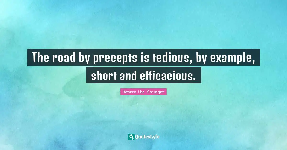 The road by precepts is tedious, by example, short and efficacious.