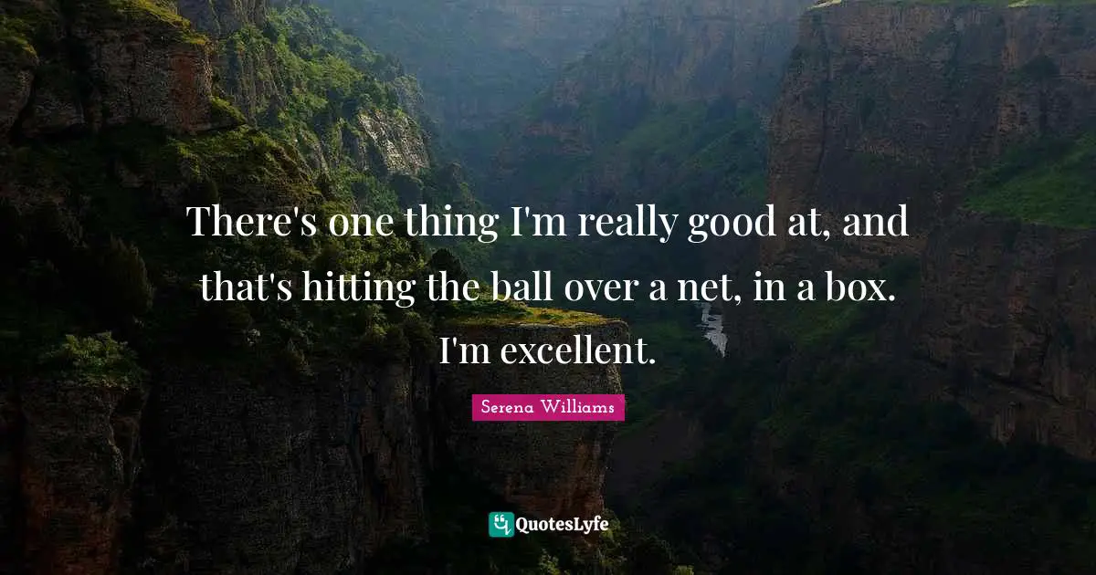 There's one thing I'm really good at, and that's hitting the ball over a net, in a box. I'm excellent.