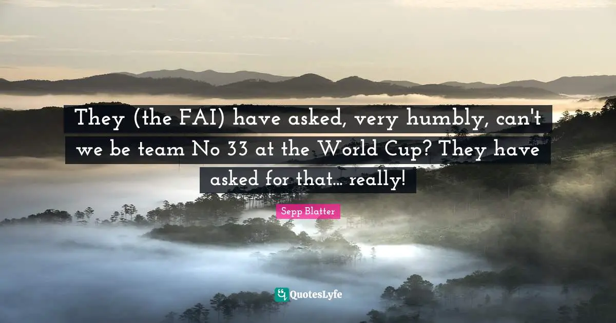 They (the FAI) have asked, very humbly, can't we be team No 33 at the World Cup? They have asked for that... really!