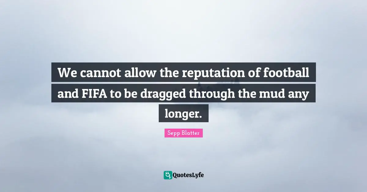 We cannot allow the reputation of football and FIFA to be dragged through the mud any longer.