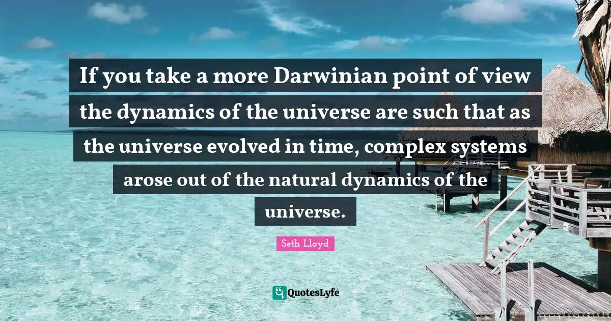 If you take a more Darwinian point of view the dynamics of the universe are such that as the universe evolved in time, complex systems arose out of the natural dynamics of the universe.