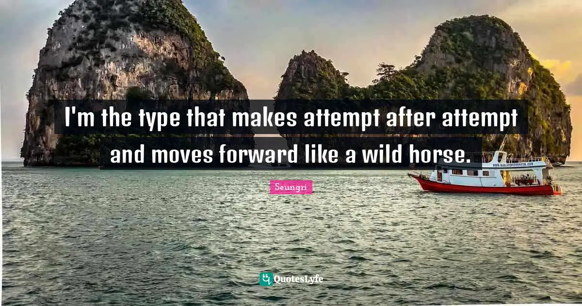 I'm the type that makes attempt after attempt and moves forward like a wild horse.