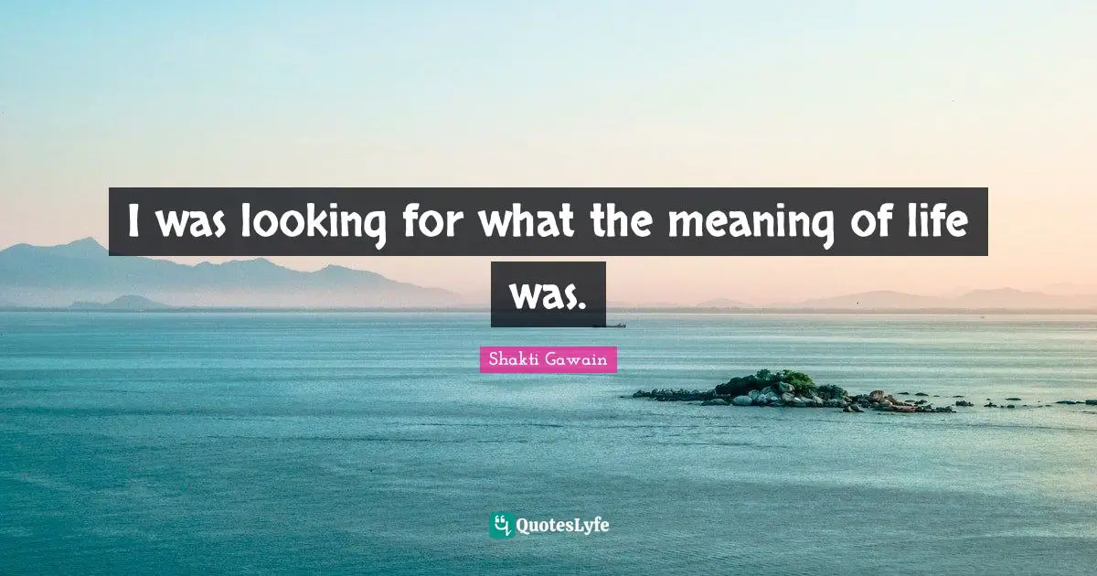 I was looking for what the meaning of life was.