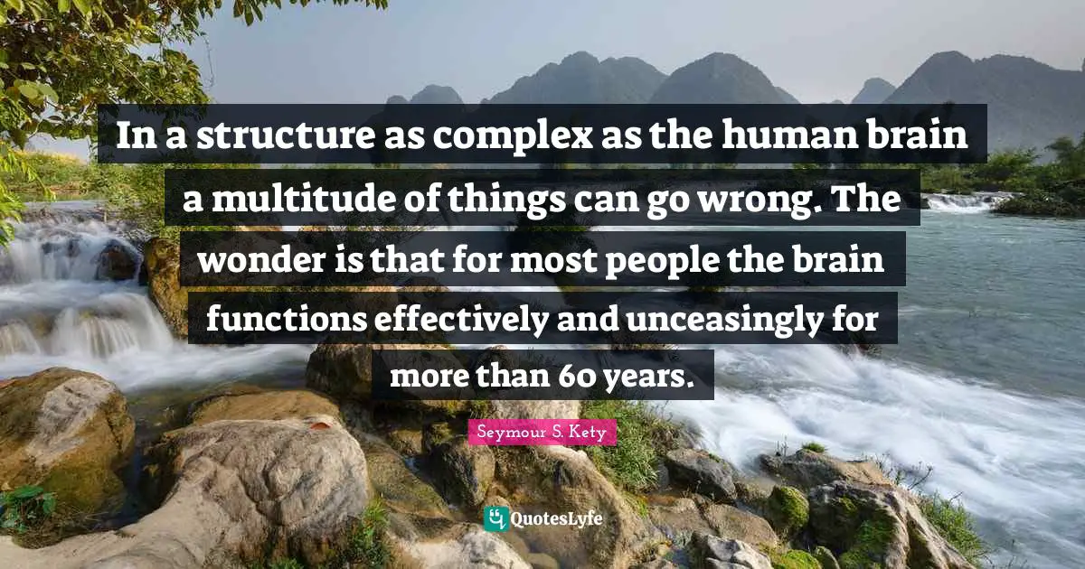 In a structure as complex as the human brain a multitude of things can go wrong. The wonder is that for most people the brain functions effectively and unceasingly for more than 60 years.
