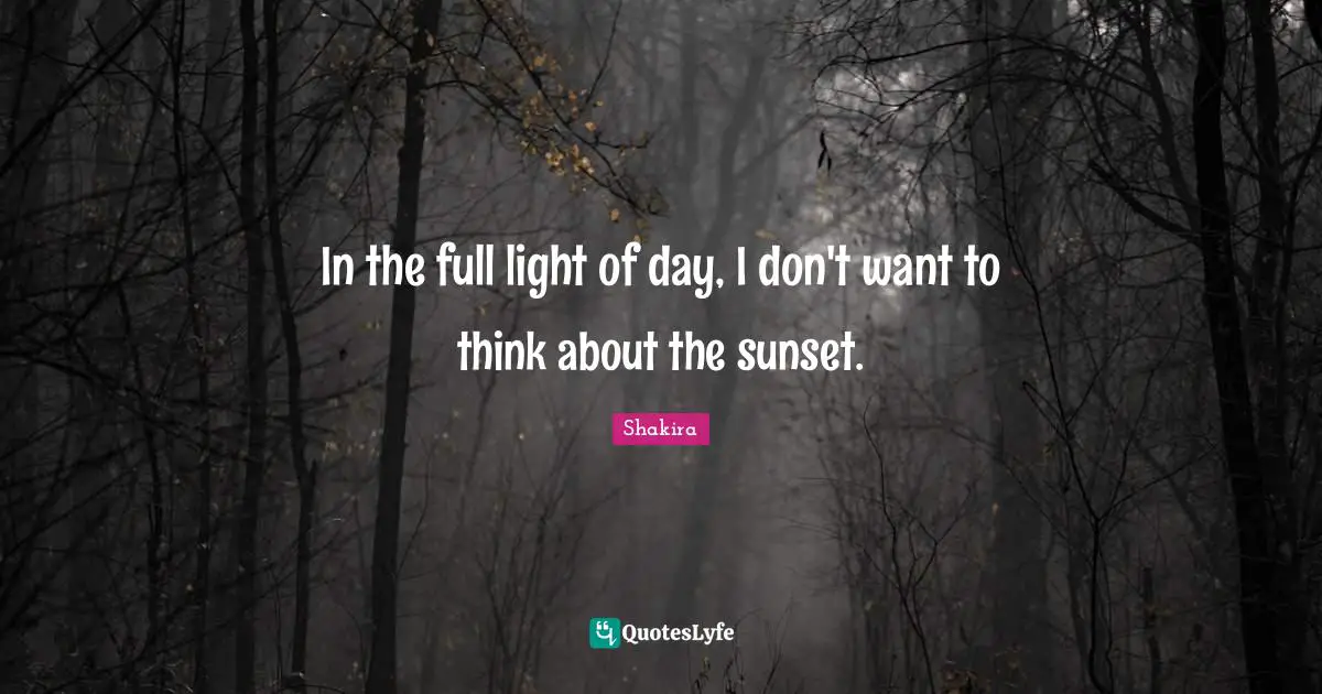 In the full light of day, I don't want to think about the sunset.