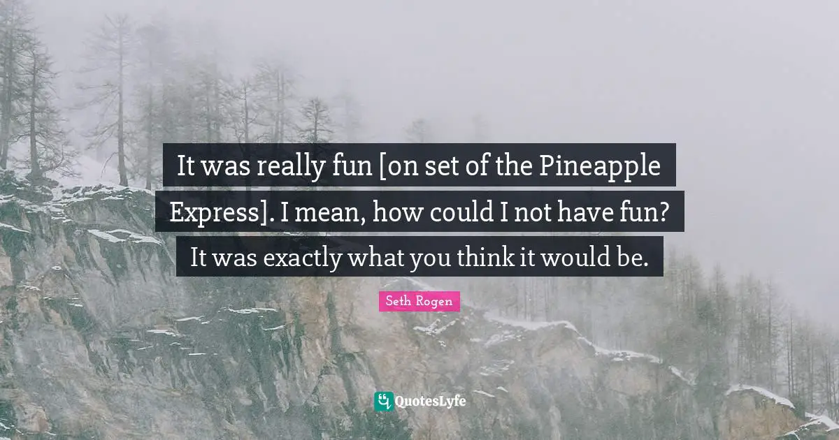 It was really fun [on set of the Pineapple Express]. I mean, how could I not have fun? It was exactly what you think it would be.